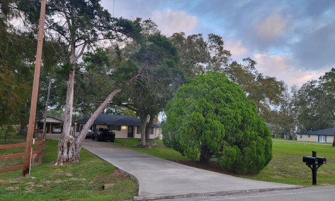 Alvin Haus | A peaceful guesthouse that is close to everything but feels miles away!