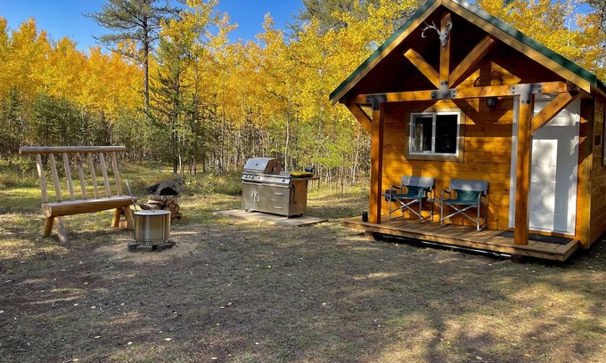 Bellis Kabine | RUGER RIDGE A Tiny Cabin, Off Grid In The Woods