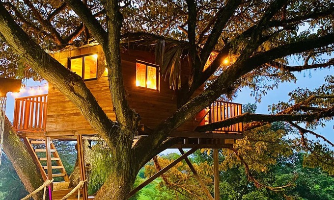 El Cerrito Hütte | Cabaña en un árbol en Santa Elena