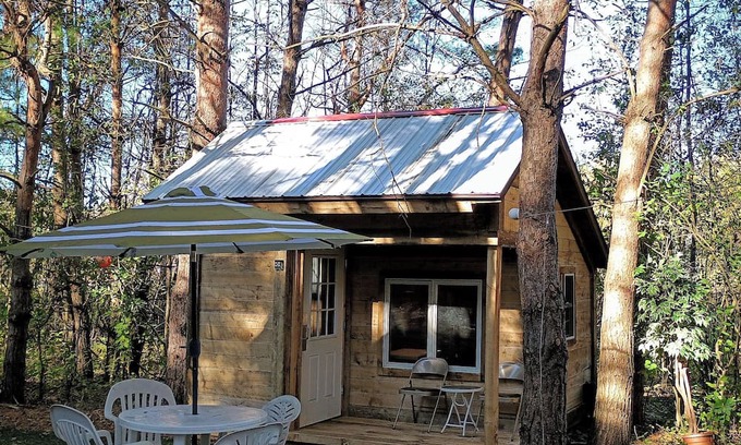 Cass City Kabine | Rustic cabin, quite get away, or hunting Basecamp