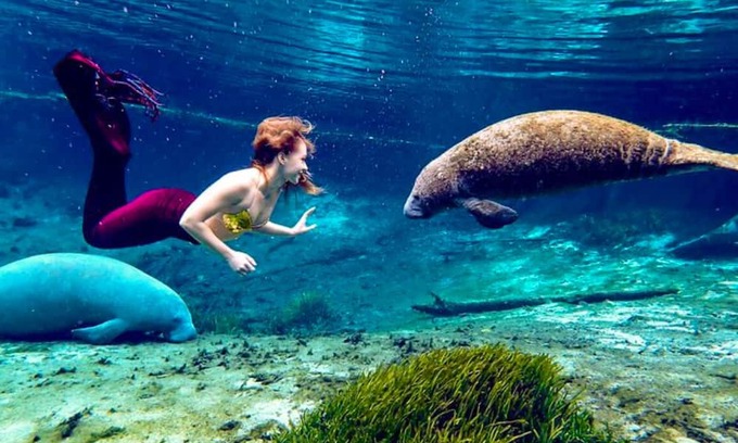 Spring Hill Haus | Weeki Wachee Crystal blue Springs river house with Kayaks