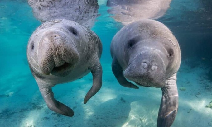 Crystal River Haus | Tranquil 2-bedroom house in Crystal River with WiFi and AC