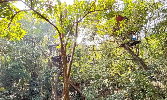 Sakleshpur Kabine | Treedom Treehouse Eco-Restoration getaway in the Jungles of South India