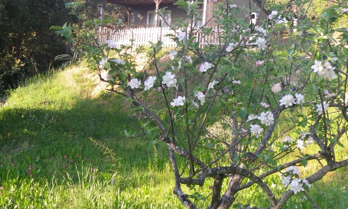 Vico Skihütte | Chalet rental in the shade of oak trees on private property 7 minutes from the sea