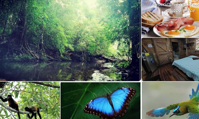 Nicoya Kabine | BluZone Jungle House AC/Wi-Fi