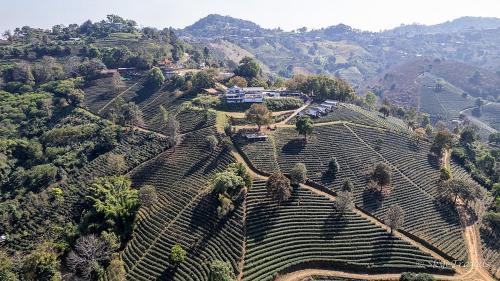 Mae Fa Luang Haus | WATA KHIRI by Wang Put Tan