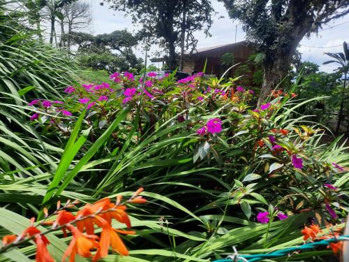 Roble Sonstige | Finca raíces del pasado