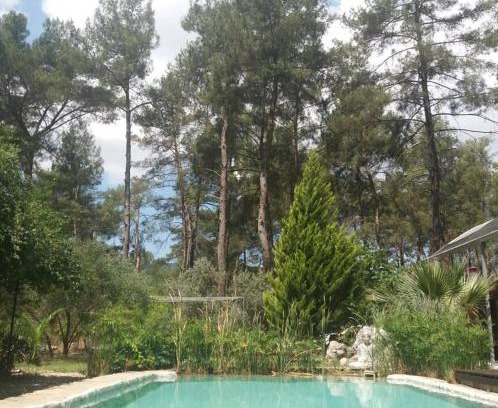 Olympos Kabine | Yeşilyurt 5 rooms