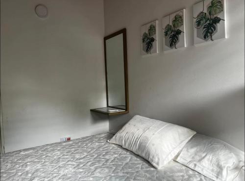 La Dorada Haus | Aluna