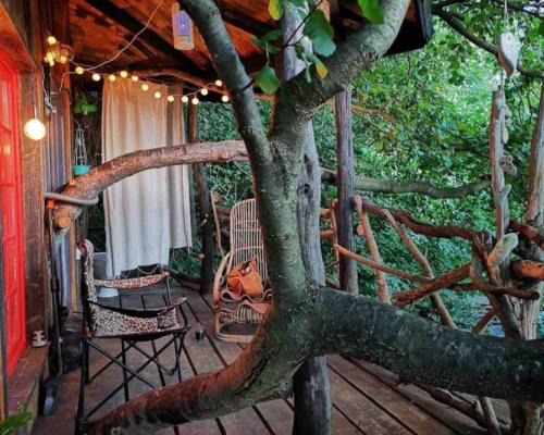 Cluj-Napoca Sonstige | Forest TreeHouse