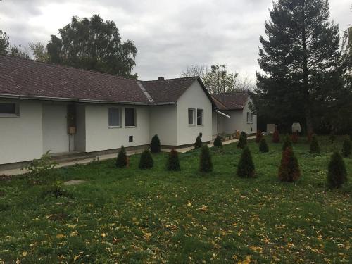 Koszeg Wohnung | Koszegi Kis-Kakas - 2 haloszoba+nappalis - sorhaz !
