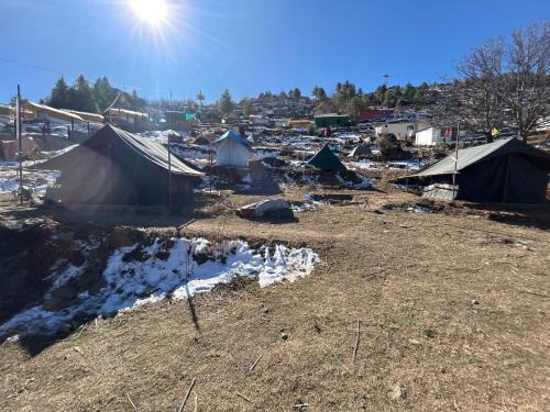Auli Sonstige | Budget Camp
