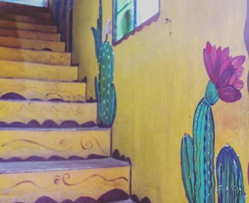 Salsipuedes Haus | Casa colibri