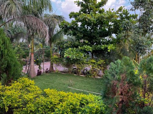 Nashik Haus | Delightful Champa - A farmstay