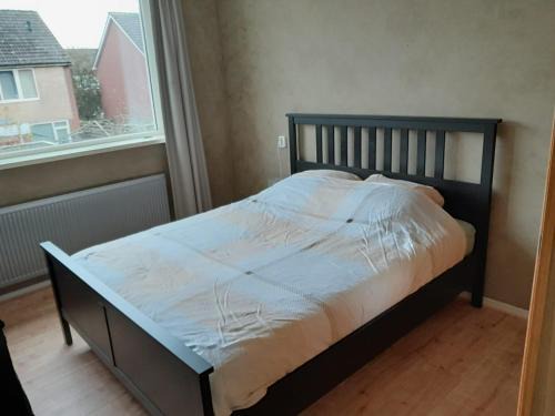 Lemmer Haus | nova vita
