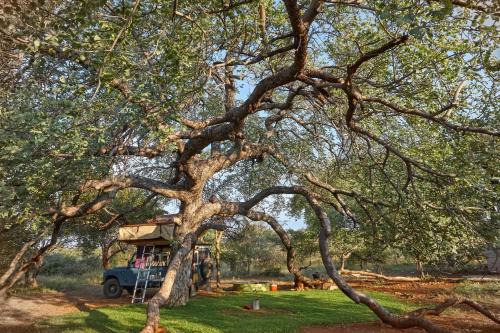 Tsumeb Sonstige | ZuriCamp - Campsite Halishi