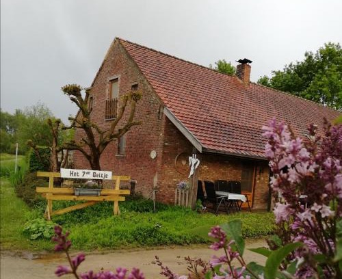 Veerle Haus | Het zevende geitje