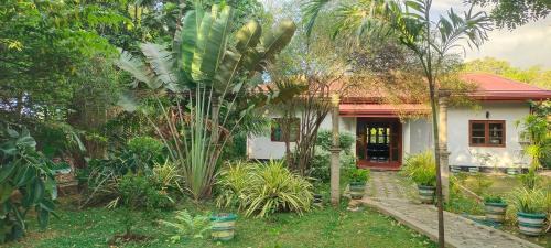 Kimbissa Haus | peacock house