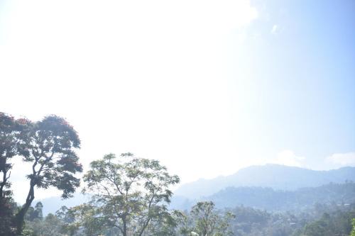 Bandarawela Wohnung | Mountain View